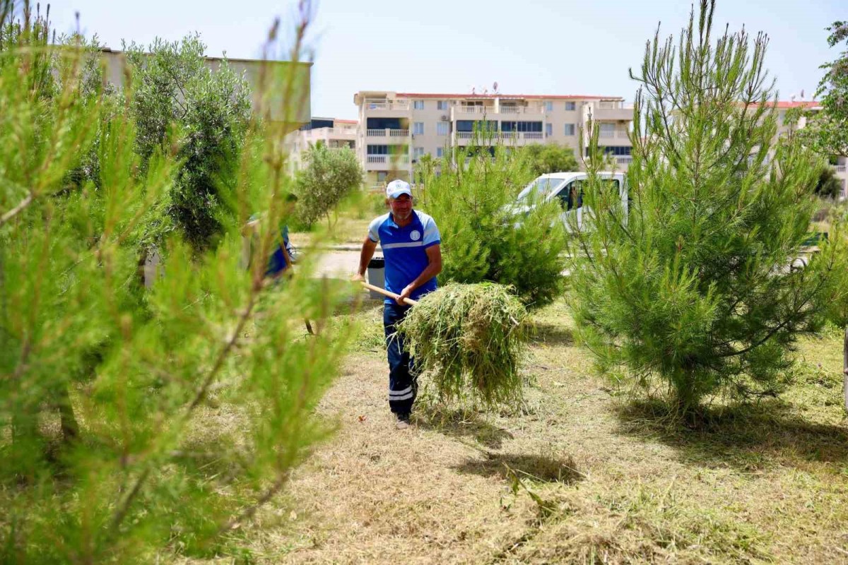 Didim Belediyesi’nden okullarda ot biçme ve çevre düzenleme çalışması