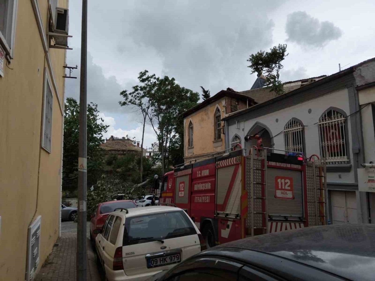 Rüzgarda devrilen ağaç park halindeki araçlara zarar verdi