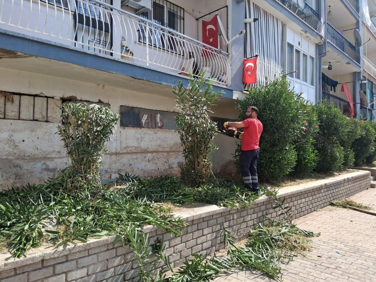 EFELER’İN YEŞİL ALANLARINDA BAKIM ÇALIŞMALARI DEVAM EDİYOR