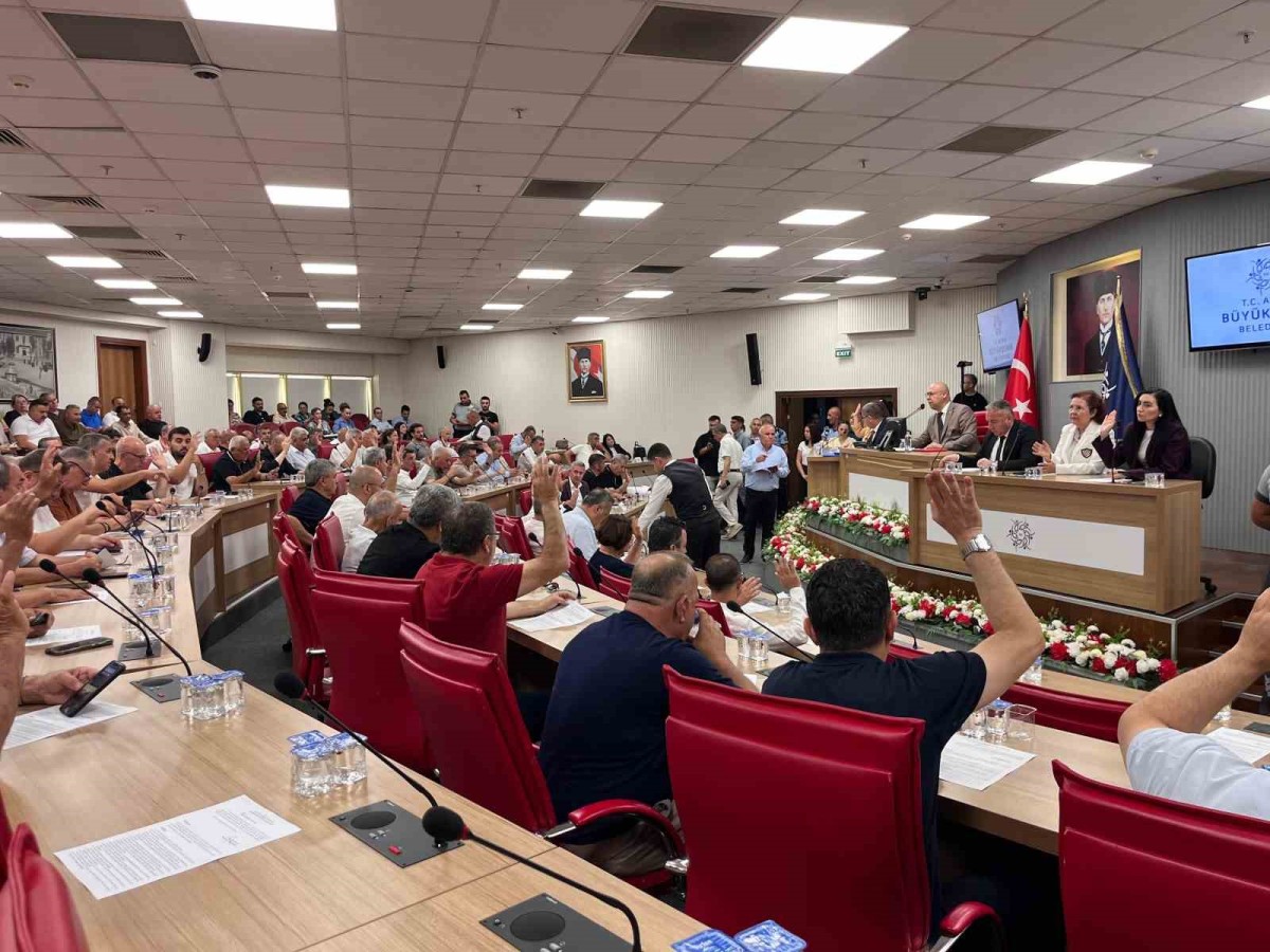 Aydın Büyükşehir Meclisi'nde İlaçlama Yetkisi Tartışması