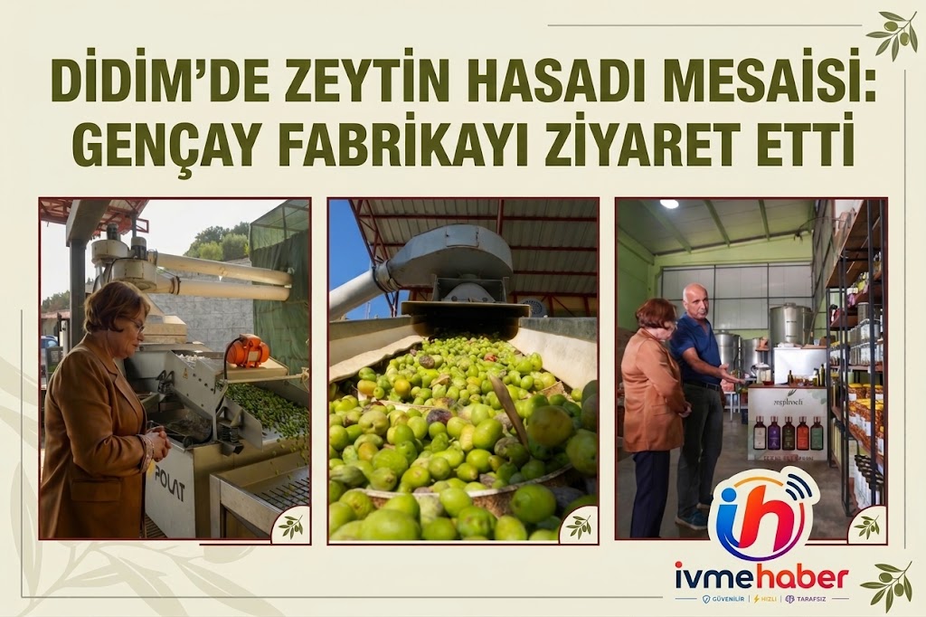 DİDİM’DE ZEYTİN HASADI MESAİSİ: GENÇAY FABRİKAYI ZİYARET ETTİ